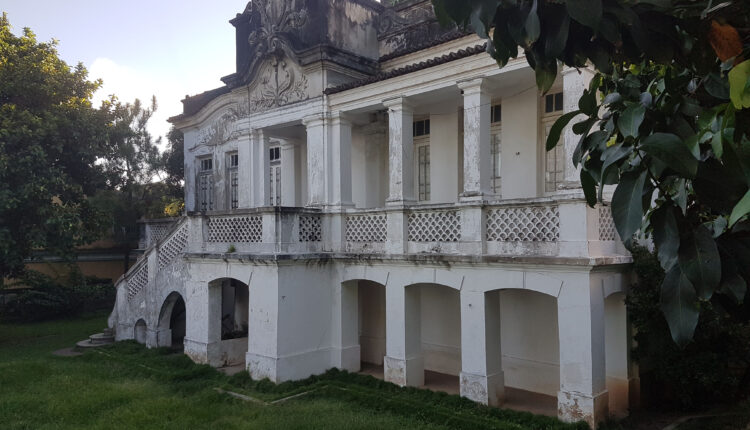 LA BELLA OLINDA-POGO