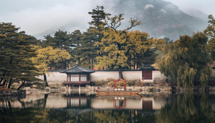 COREA, UN MAL DE AMOR-POGO