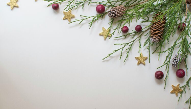 FELICES FIESTAS Y A FINGIR DEMENCIA-POGO 1